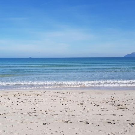 Ideal Property Mallorca - Delicias อัลกูเดีย ภายนอก รูปภาพ