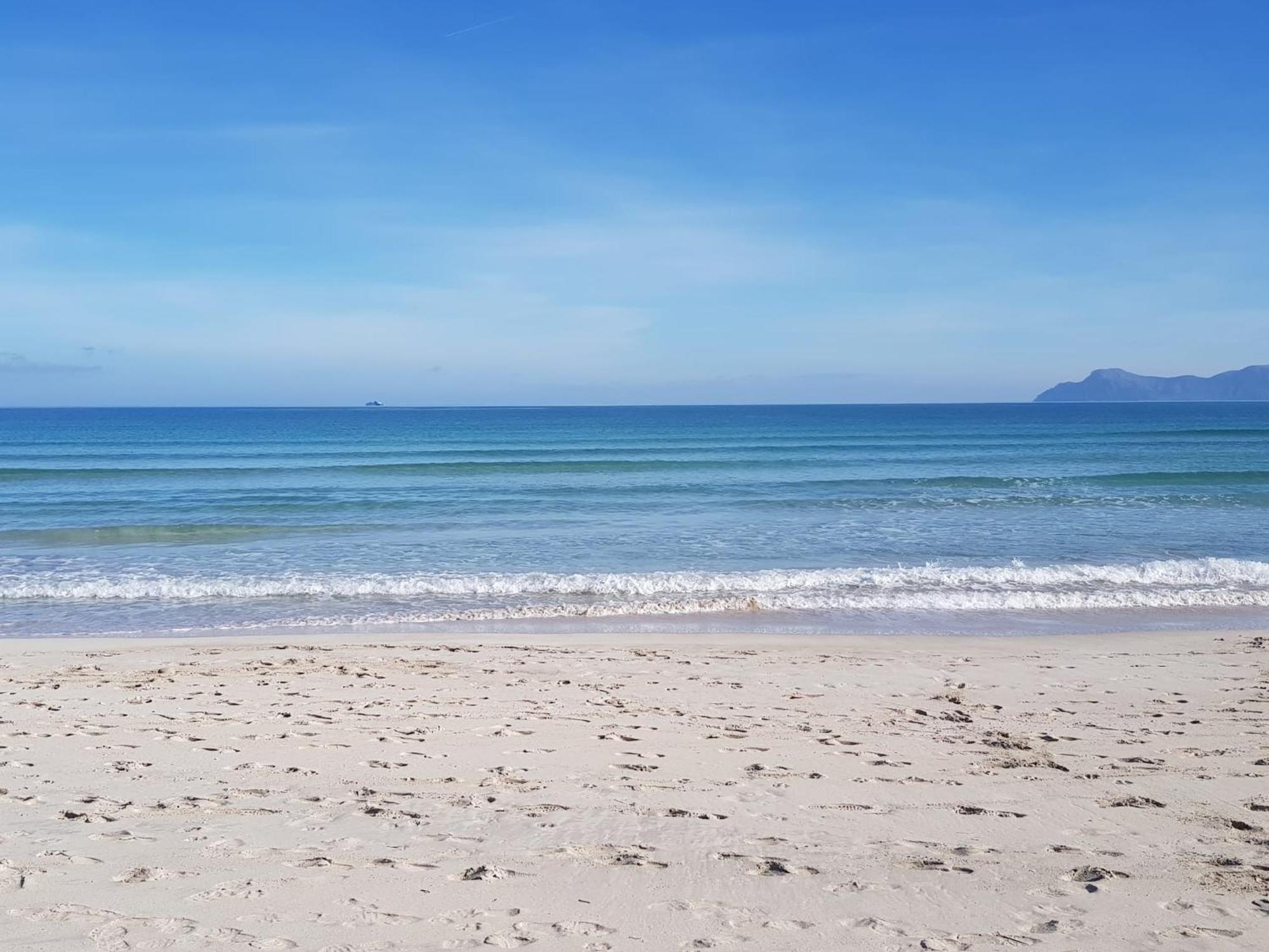 Ideal Property Mallorca - Delicias อัลกูเดีย ภายนอก รูปภาพ